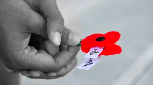 Hand with poppy 