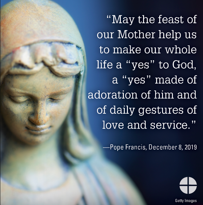 Pope Francis quote 2019 2020 12 05 at 9.45.28 AM