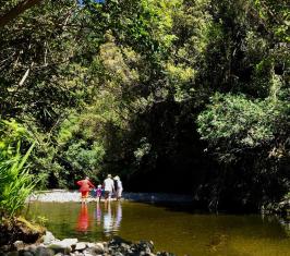 Akatarawa river gp copy